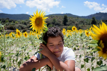 Boy is holding a sunflower in golden sunflowers field.. 