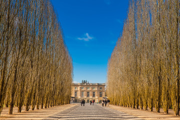 Garden of the Versailles Palace in a freezing winter day just before spring