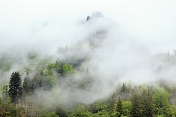 Mountain with forest hidden in the mist