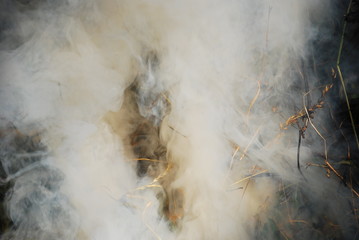 Dym © Marta Szloser
