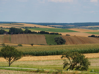 Fototapeta premium Hilly landscape