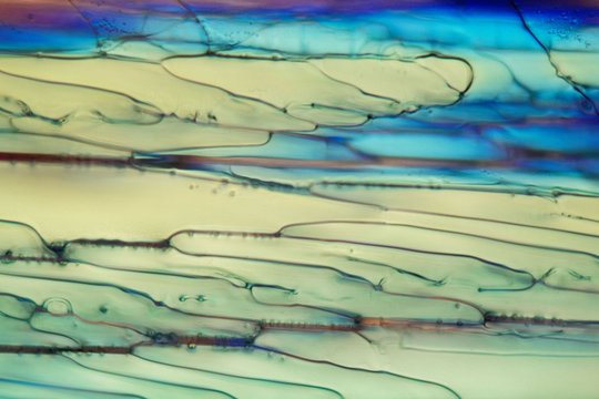 Frozen beer under a microscope, white Wheat beer.