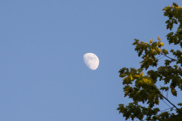 Moon