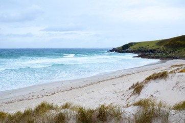 White sand beach in New Zealand's Northland