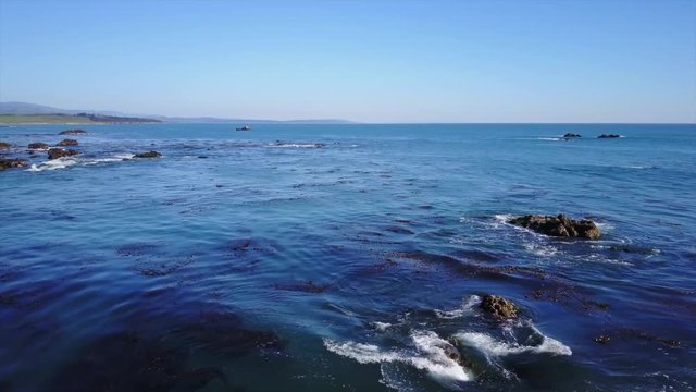 Aerial footage of the Piedra's Blancas State Marine Reserve in San Simeon California USA