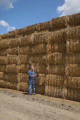 Naklejka na ściany i meble Farmer or agronomist inspecting bale of straw in field after harvest using tablet