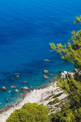 Beautiful turquoise color of sea water is seen through the foliage of trees on Pefkoulia Beach, Lefkada island, Greece. Idyllic sunny day.