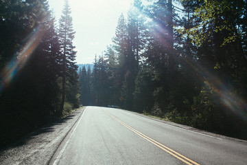 Obraz premium Road trippin