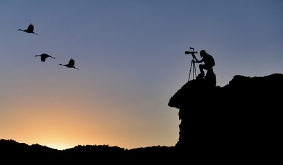 wildlife photography and exquisite squares