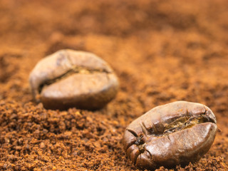 Genuss aus der Bohne