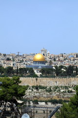 Obraz premium view of the old city of Jerusalem in Israel with an olive mountain. the golden dome of the Moslem mosque