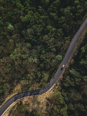 Winding Road with Car