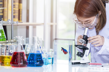 Young female scientist student looking through a microscope near test tube in a laboratory.Portrait of mature doctor in a white coat.Copy space.