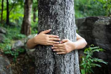 Hug Tree