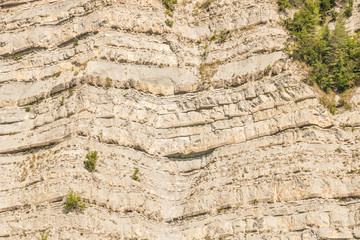 Stratificazione rocciosa, Appennino emiliano (Italia)