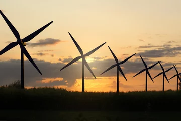 Foto auf Leinwand 3D render van windmolens in landelijke omgeving © emieldelange