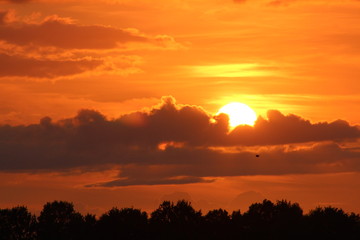 Fototapeta na wymiar Oranje zonsondergang