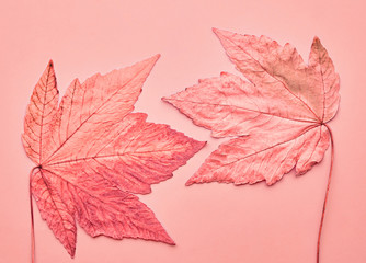 Autumn Arrives. Minimal. Maple Leaf Couple on Vanilla Pastel Background. Fall Fashion. Design Art...