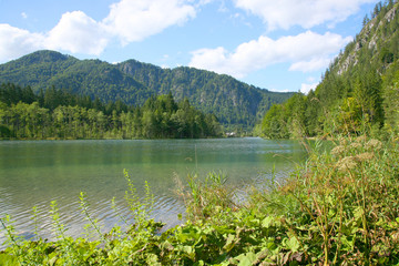Almsee