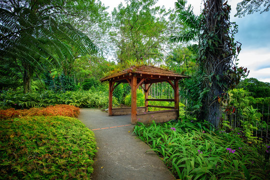 Tropical Balata garden in Martinique. The Balata is a botanical garden located on the Route de Balata about 10 km outside of Fort-de-France, Martinique