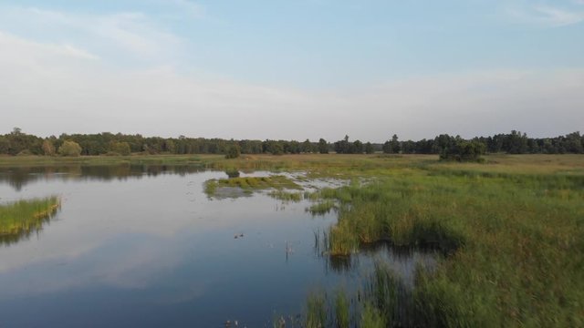 Flyover of the swampy pond in the area of Milicz, Poland