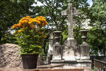 Fototapeta premium natural flowers on a catholic tomb in Brazil