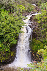 Fototapeta na wymiar Waterfall and Stream on the Big Island of Hawaii