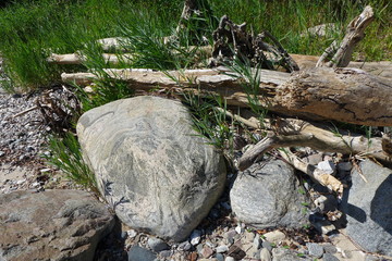 Naturstrand auf Fünen in Dänemark