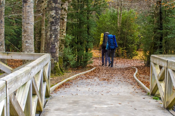 couple tourists in autumn park