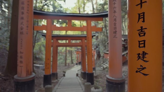 Fushimi Inari-taisha torii path in Kyoto, 25fps.