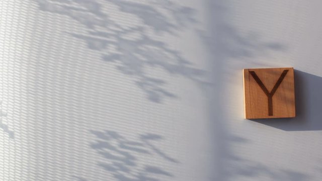 The word "DAY" is laid out in wooden letters