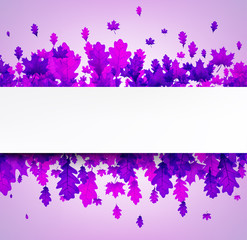 Autumn background with beautiful purple leaves.