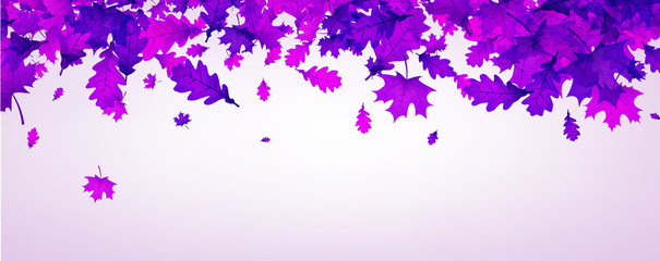 Fototapeta na wymiar Autumn banner with beautiful purple leaves.
