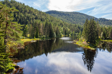 Wonderful landscape in Telemark region - lakes, fjords and coast covered with the forest, Southern Norway