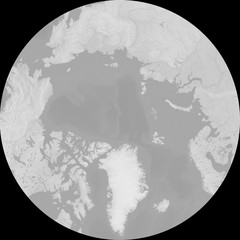 Polarstereo projection of the Arctic - terrain depicted monochromatically in shades of gray. Gray Earth with Shaded Relief, Hypsography, Ocean Bottom, and Drainages - 3D rendering