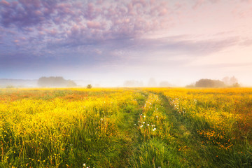 Autumn landscape. Fall nature.