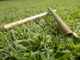 Bamboo Straws Proudly South African