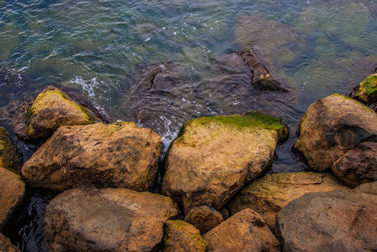 Sahildeki yosunlu ve parlak kayalar ve deniz suyu, Yakakent Sahili