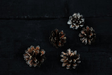 pine cones on black wooden background