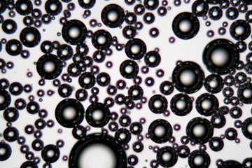 Air bubbles in an surfactant fluid under a microscope