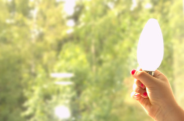 The child holds an electric lamp in his hand on the background of green trees.Ecology and electricity. 