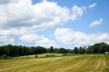 Fototapeta na wymiar Partly Cloudy Farm Landscape