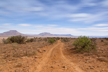 Eastern Cape Landscape