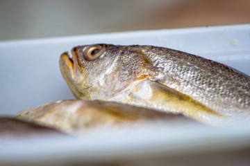 Fish in a tray are exposed in the street market in Sao Paulo