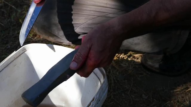 knife sharpening, sharpening a butcher's knife,