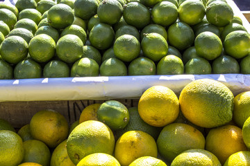 fresh Orange and lemon fruits in street Marketr in Brazil