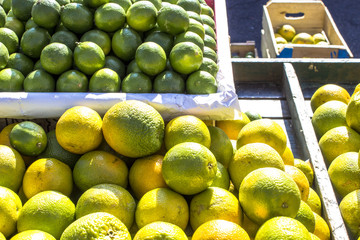 fresh Orange and lemon fruits in street Marketr in Brazil