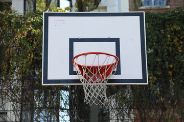 basket