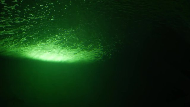 darkness underwater deep sea