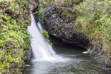 Fototapeta na wymiar The Scenic Beauty of Hawaii - Maui Waterfall